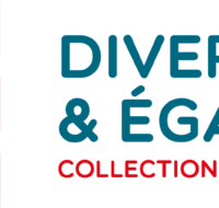 Logo-csa-diversite